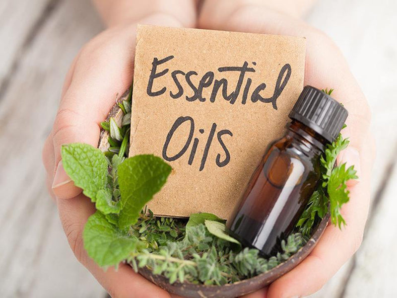 What Are Essential Oils: Their Benefits and How to Use Them