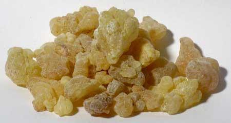 Frankincense: a Gift this Christmas!